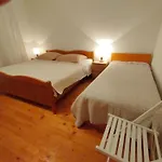Oliva * Raslina