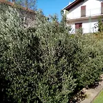 Hébergement de vacances Oliva *