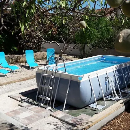 Oliva