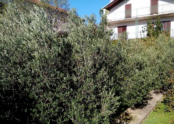 Vakantiehuis Oliva *